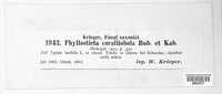 Phyllosticta coralliobola image
